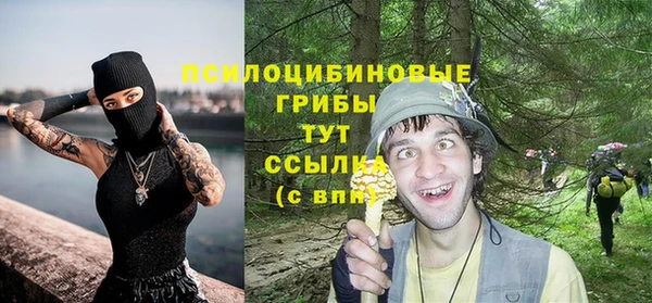 молекула духа Гусев