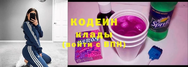 spice Гусь-Хрустальный
