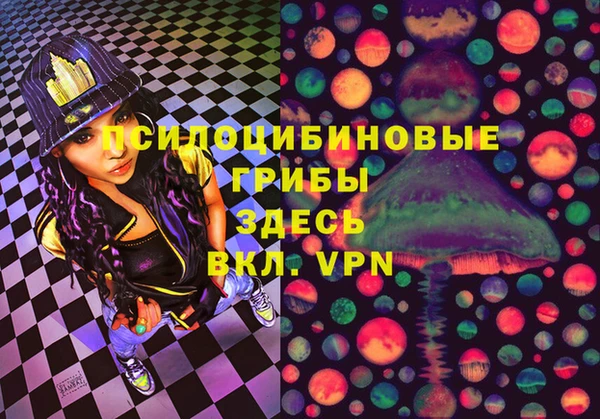 молекула духа Гусев