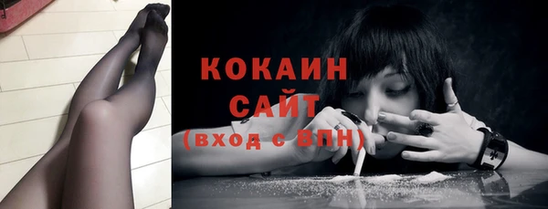 молекула духа Гусев