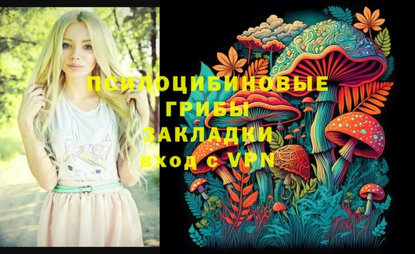 молекула духа Гусев